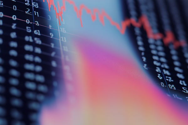 Risikobewertung und Diversifikation